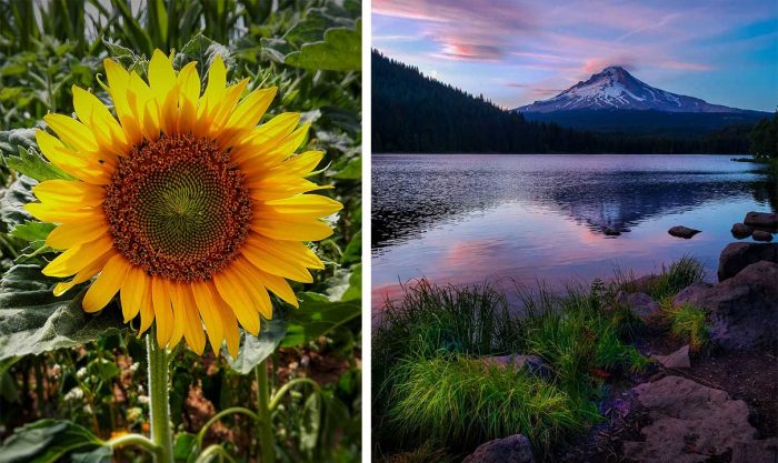 Best Photos Sent To Us This Week (21 July 2019)