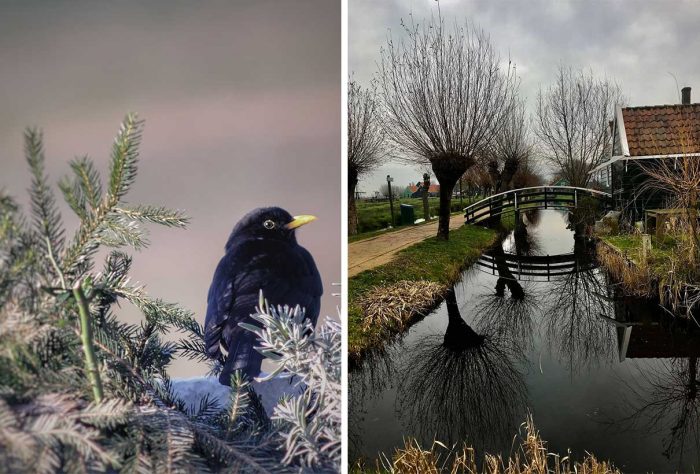 Best Photos Sent To Us This Week (29 December 2019)