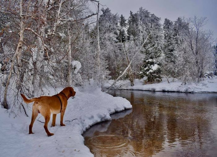 Best Photos Sent To Us This Week (02 February 2020)