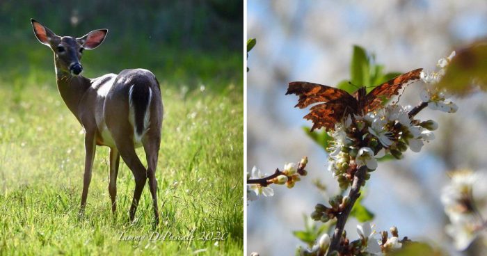 Best Photos Sent To Us This Week (01 March 2020)