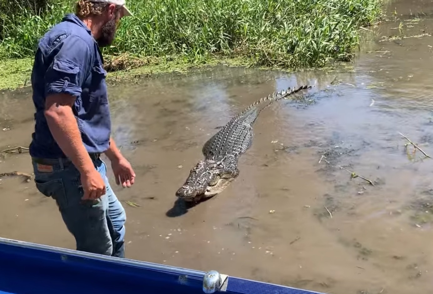 Man Gets Really Close To Crocodile
