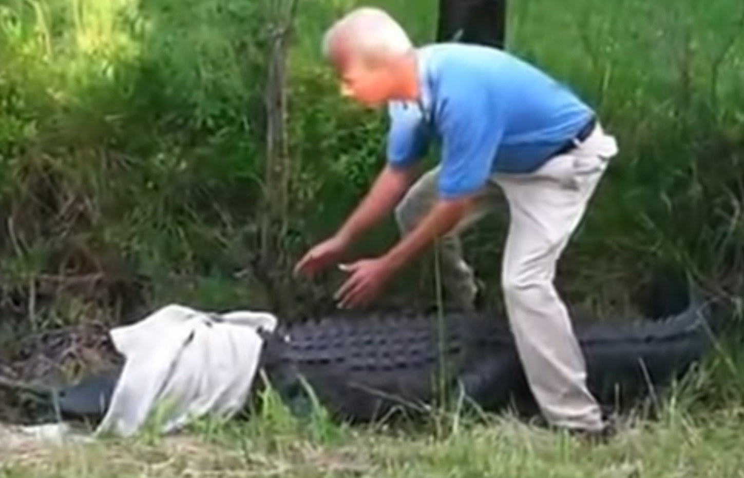 Man Tries To Catch Aligator.. And It Goes Wrong