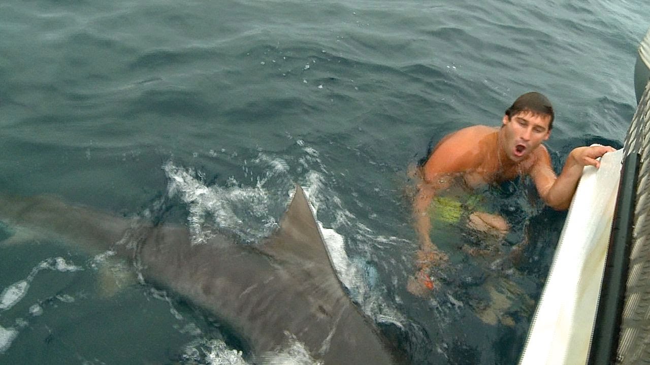 Shark Attack Near Miss Video