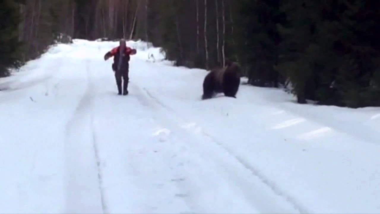 Swedish Man Scares Bear Away Video
