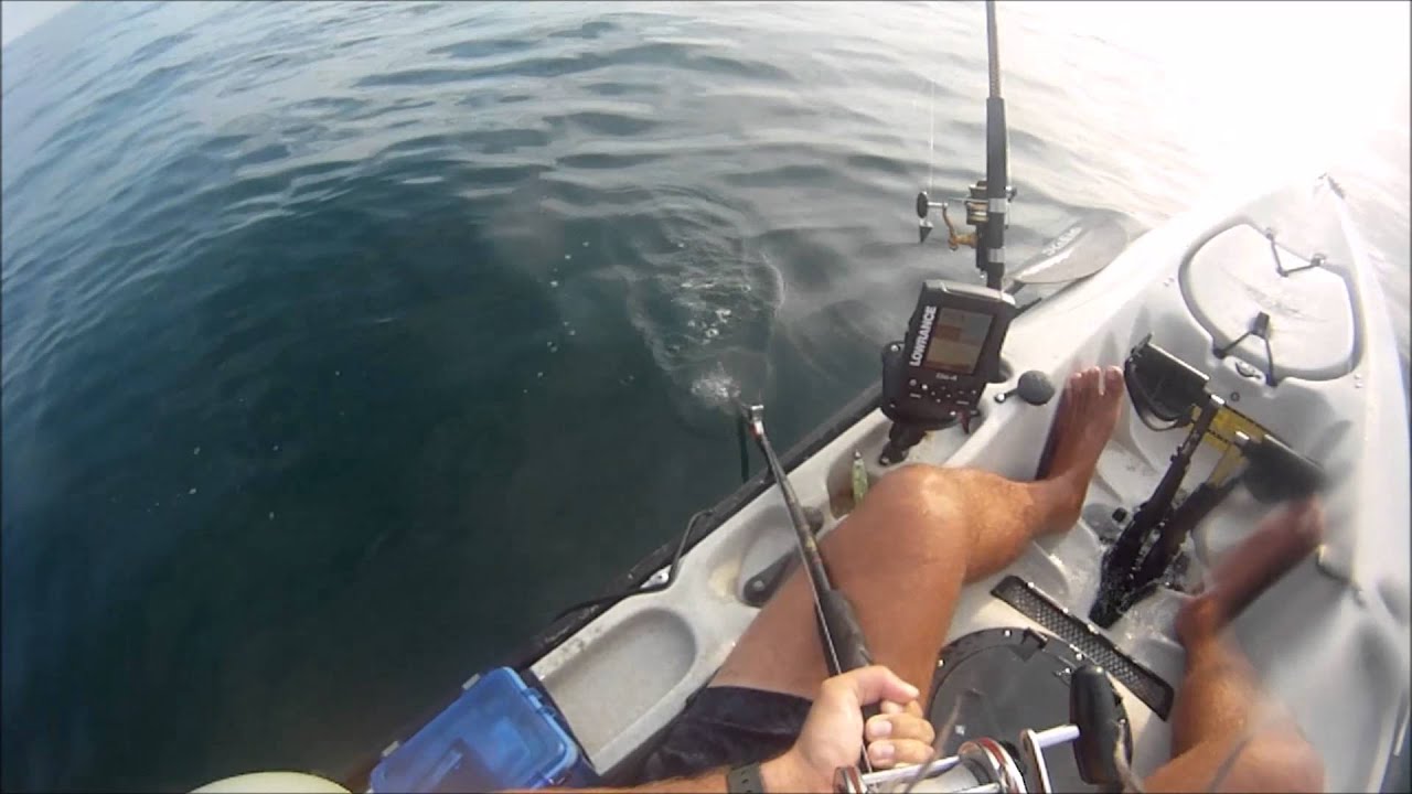 Kayaker Gets Surprise Visit From Curious Shark