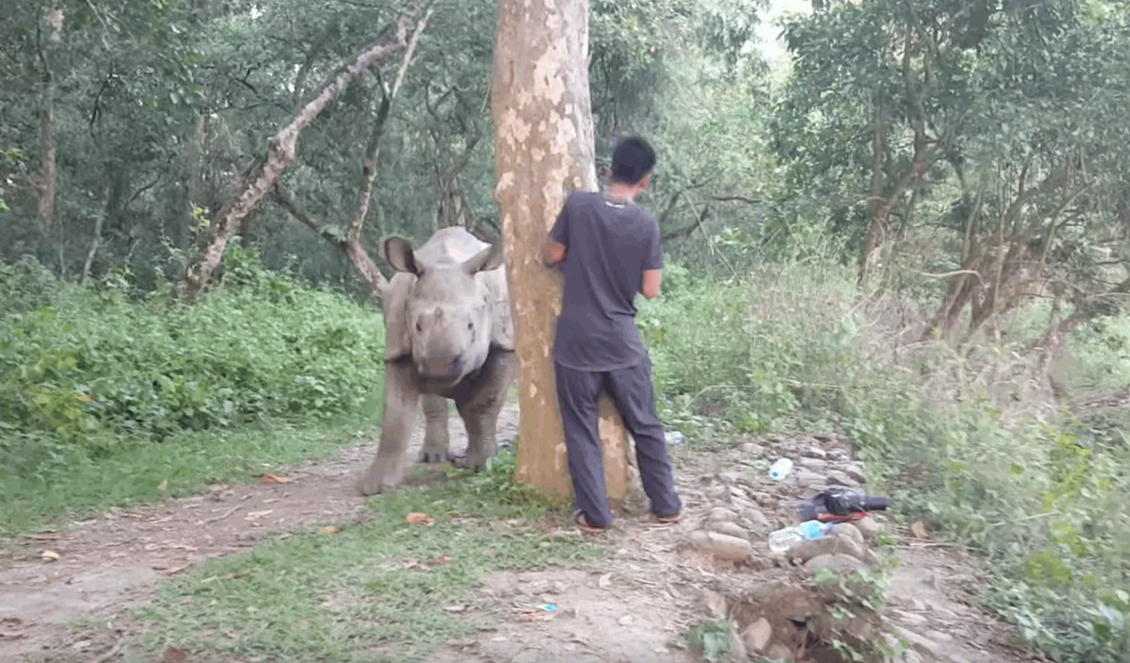A Really Close Encounter With Rhino