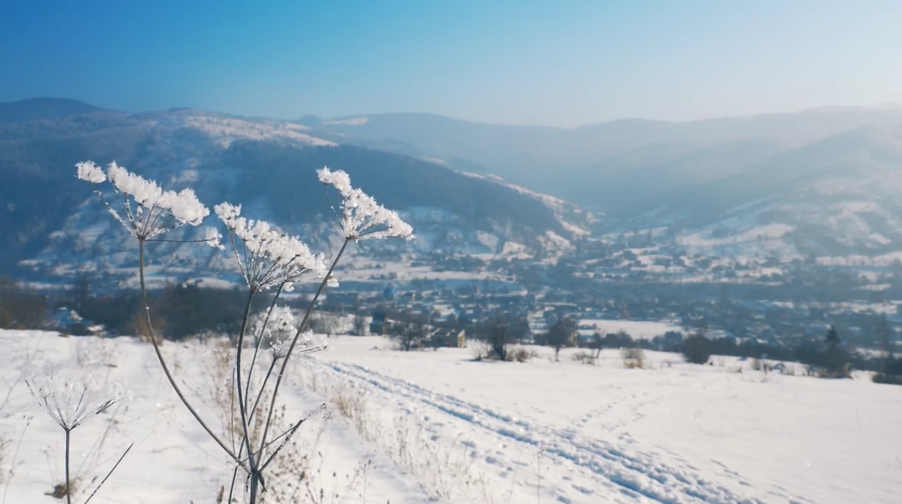 Winter In Carpathians