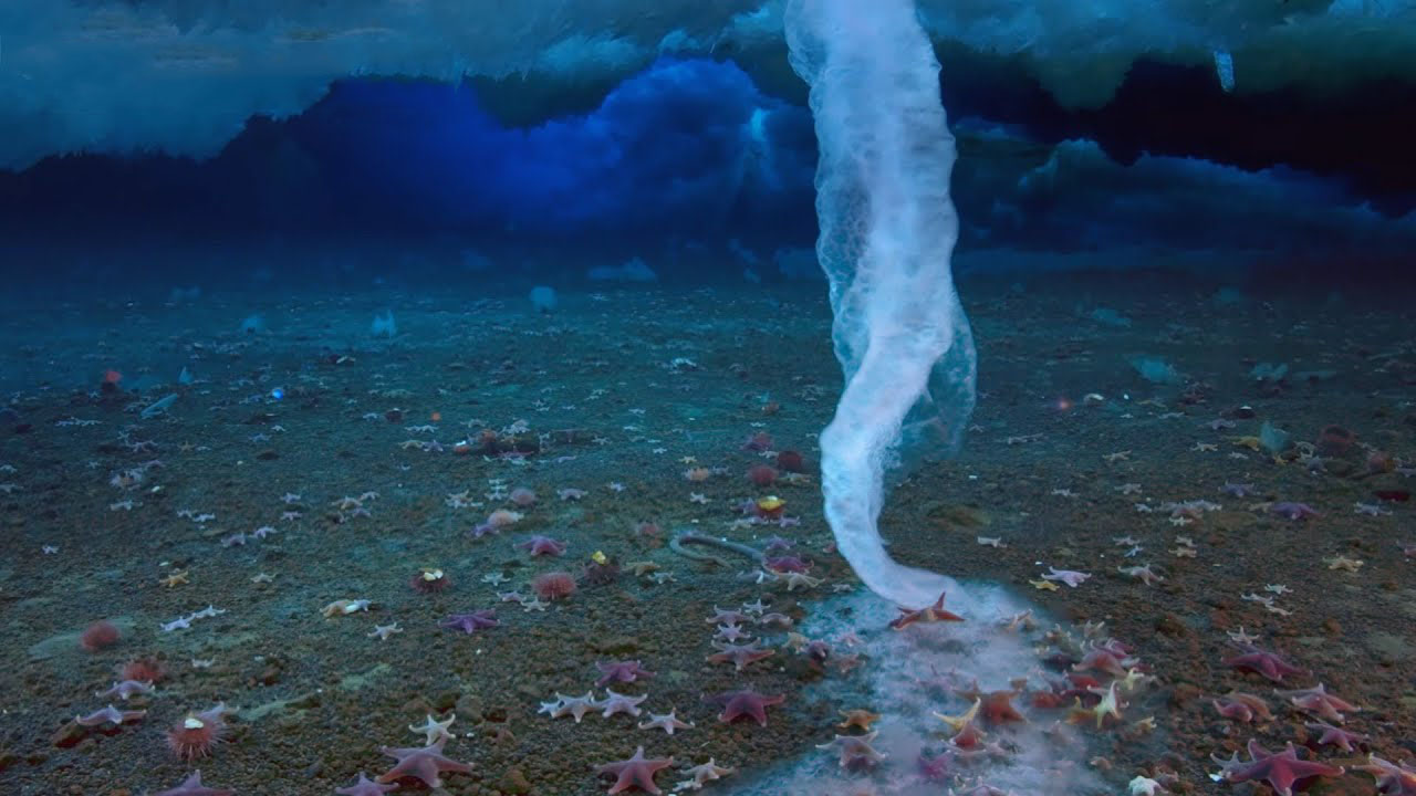 The fascinating and deadly 'Finger of Death' from Antarctica