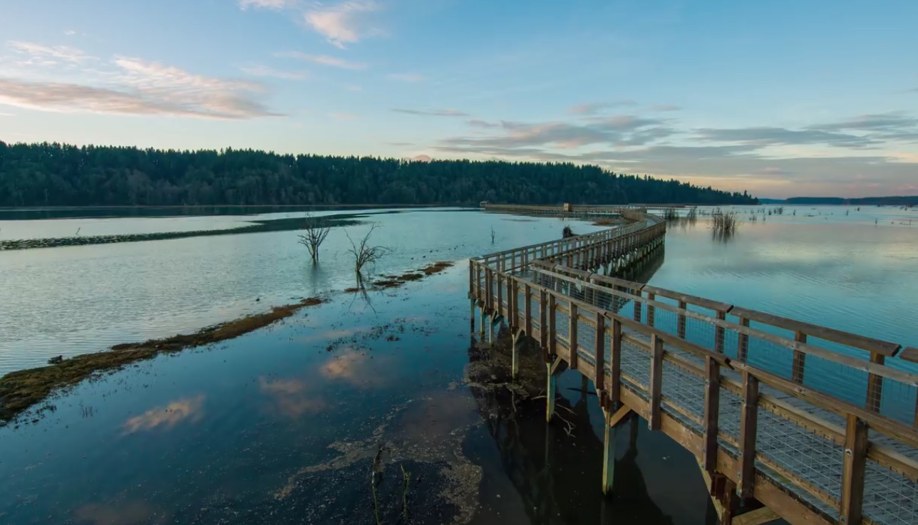 Moments Of Tranquility By Nisqually River