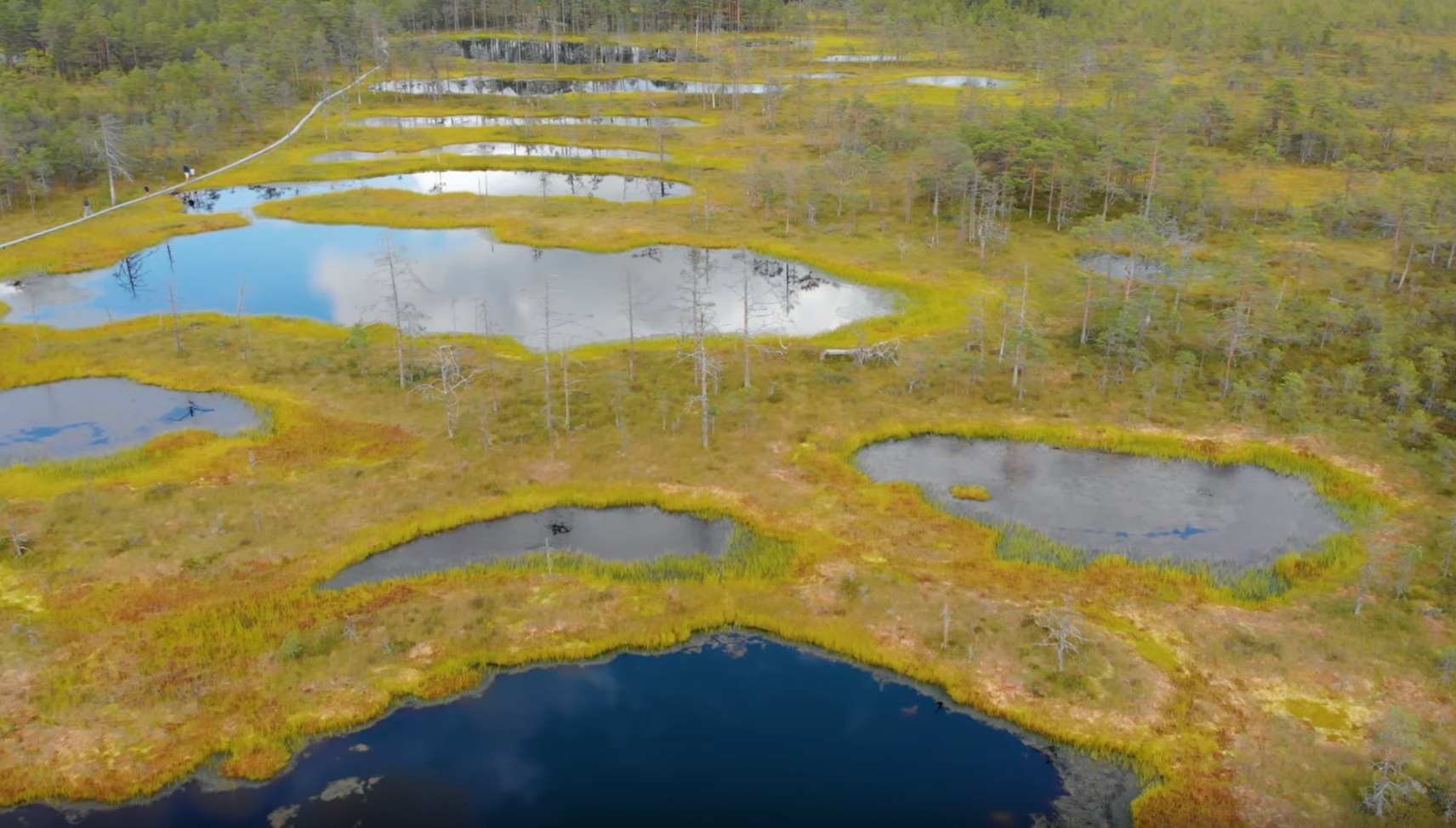 Estonian Nature From Above
