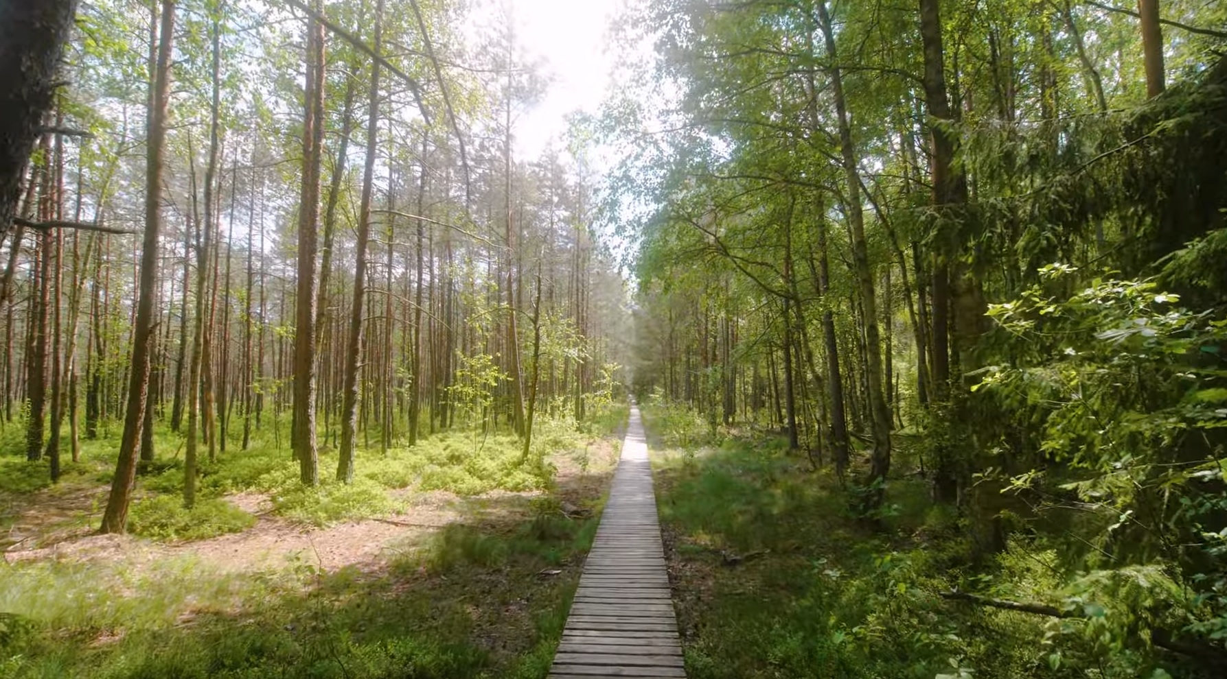 A Relaxing Walk In Lithuania