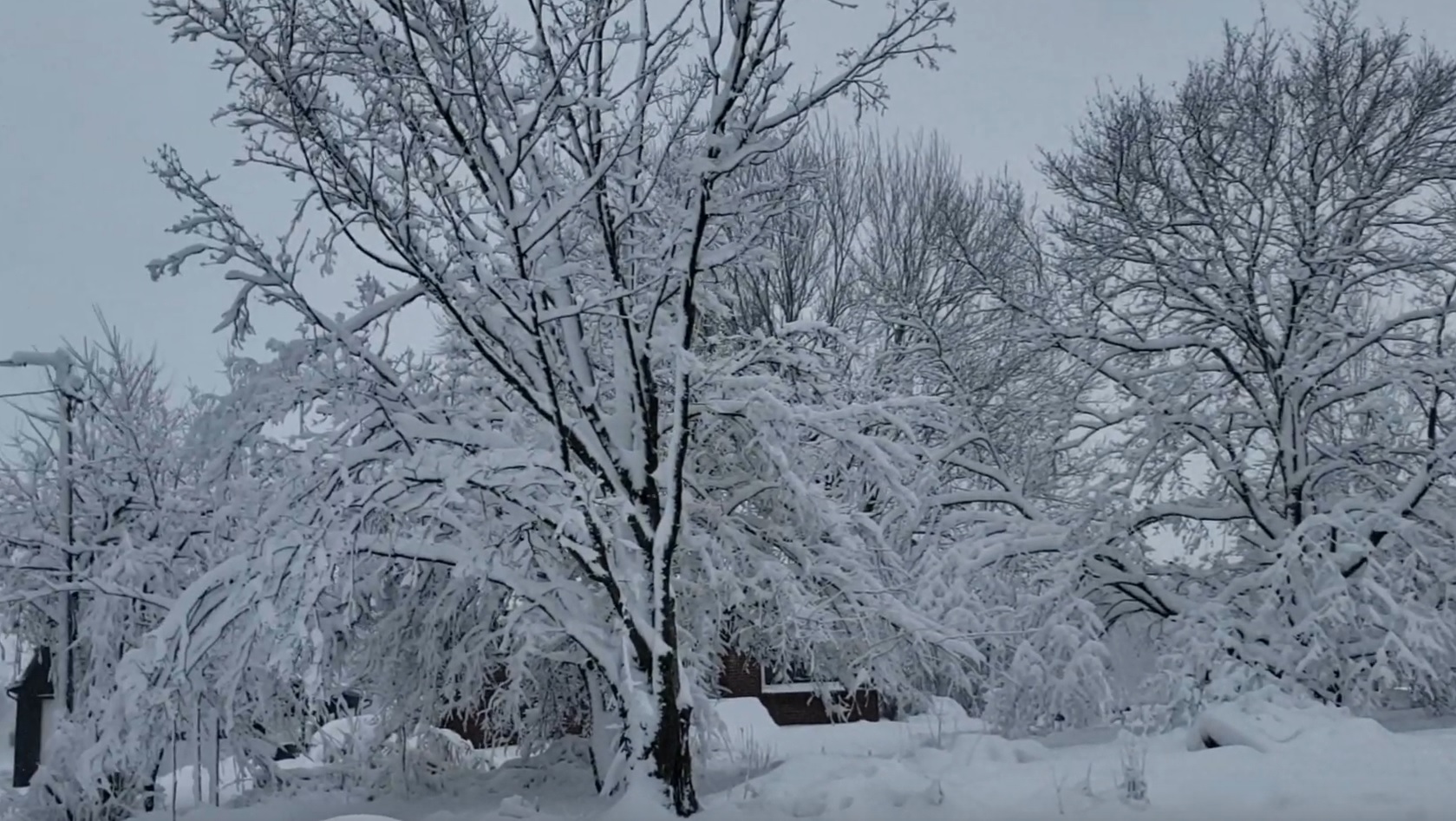 Snow In Ohio