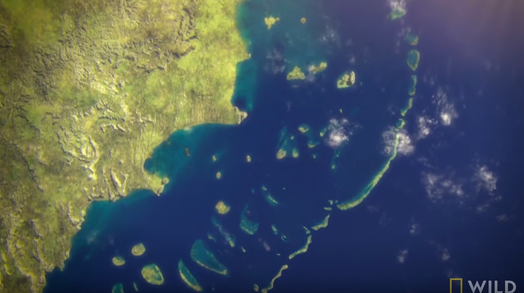 How The Great Barrier Reef Formed