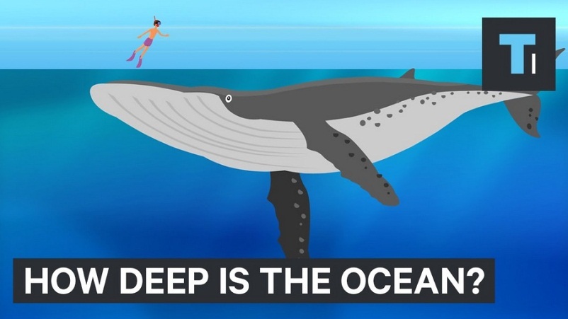 Animation Showing How Deep Our Oceans Are