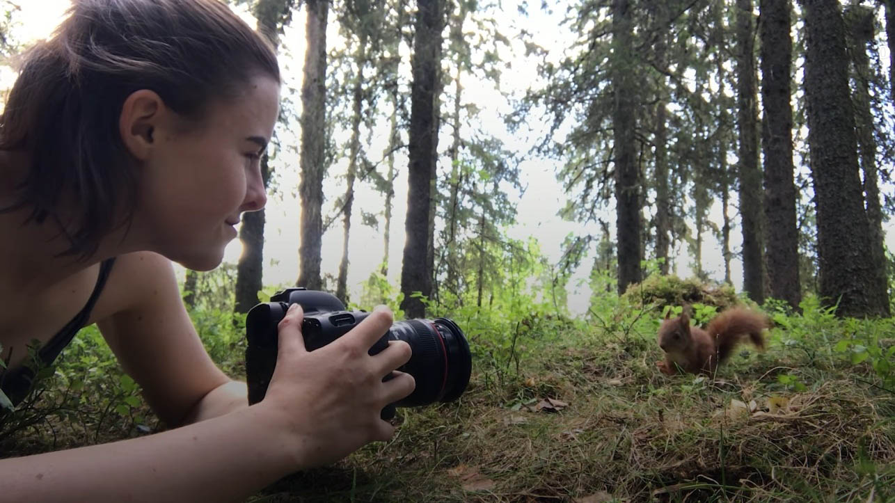 Girl photographer helps four orphaned baby red squirrels survive