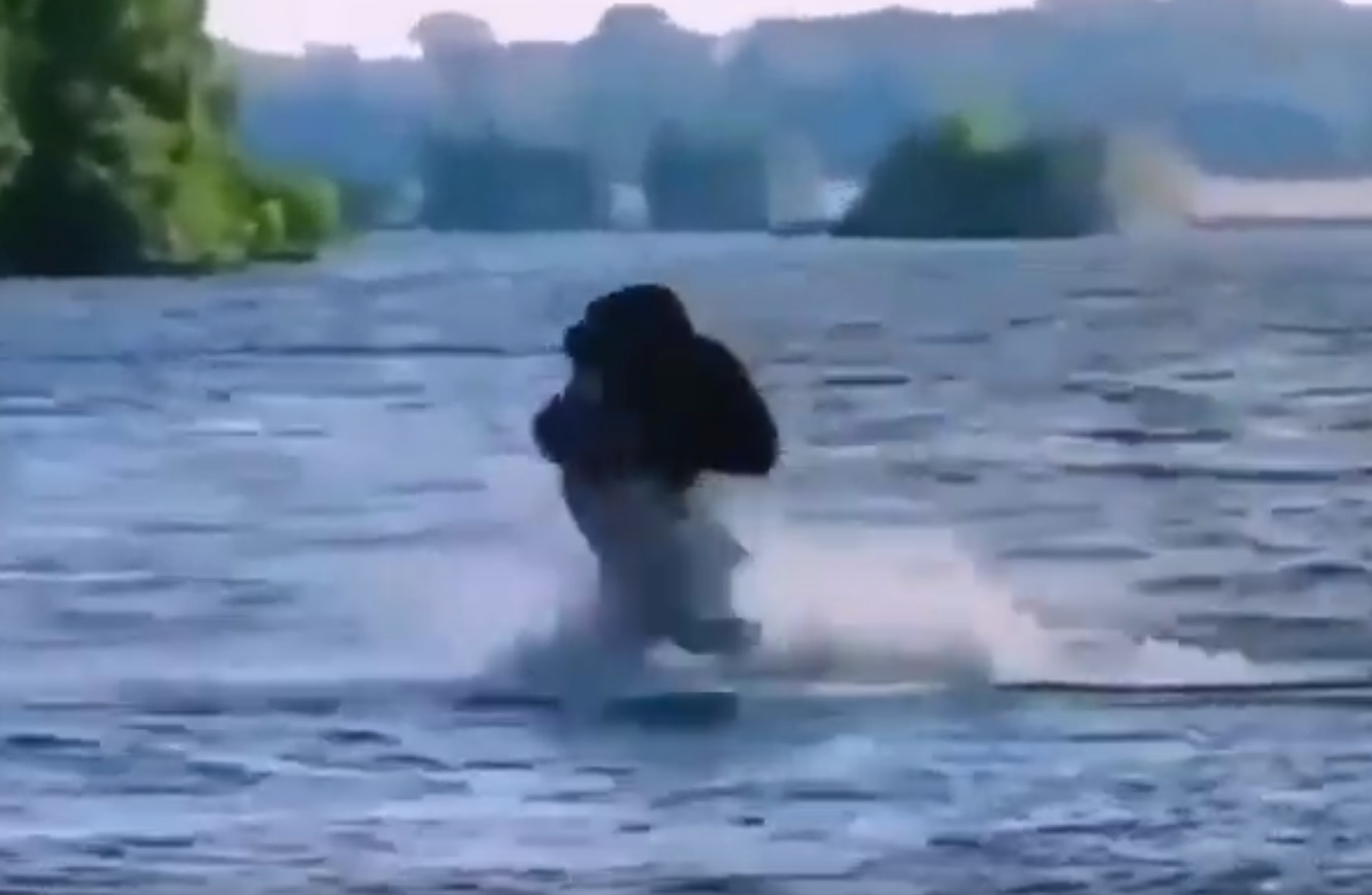 Gorilla Vs The Cold Water