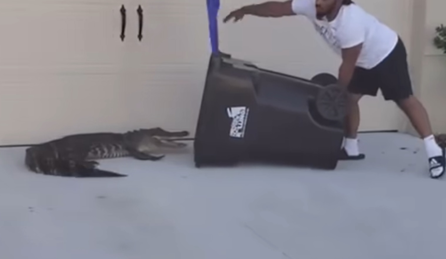 Man Uses Trash Bin To Catch Aligator
