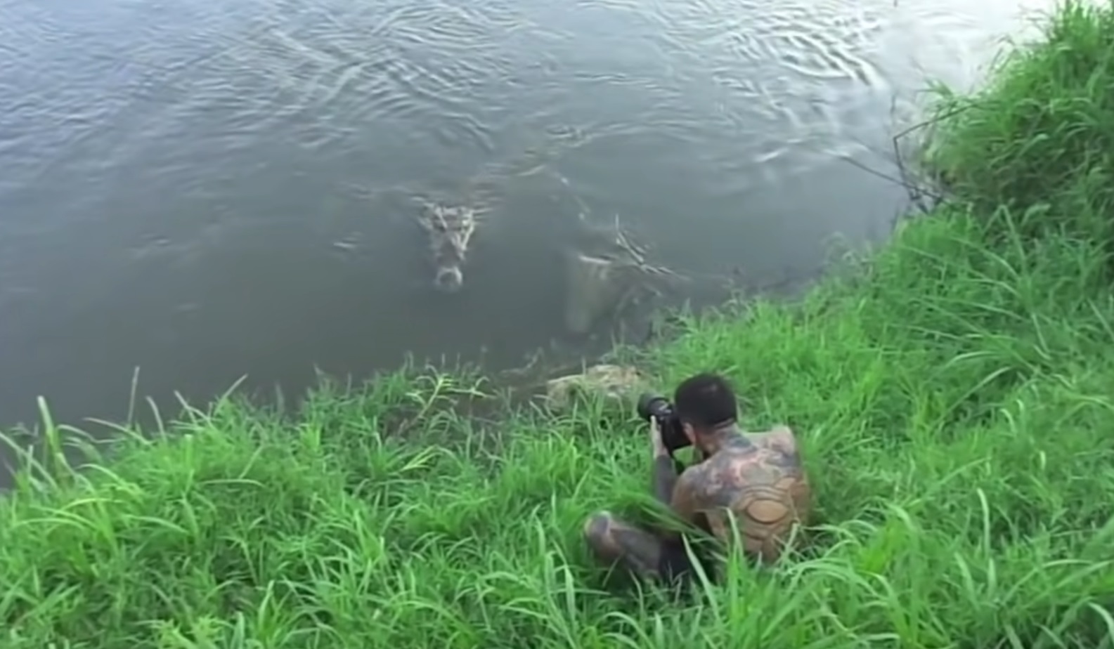 Photographer Gets Too Close To Crocodiles