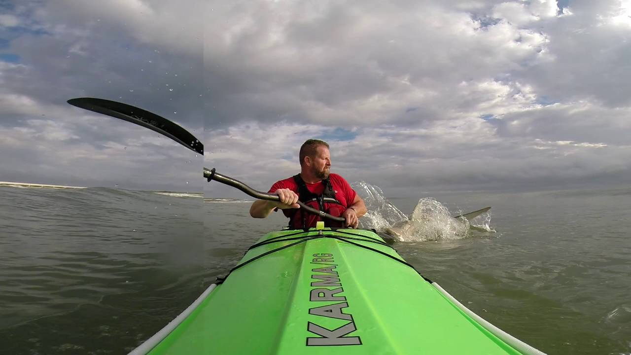 Kayak Surfer Gets Stalked By Shark