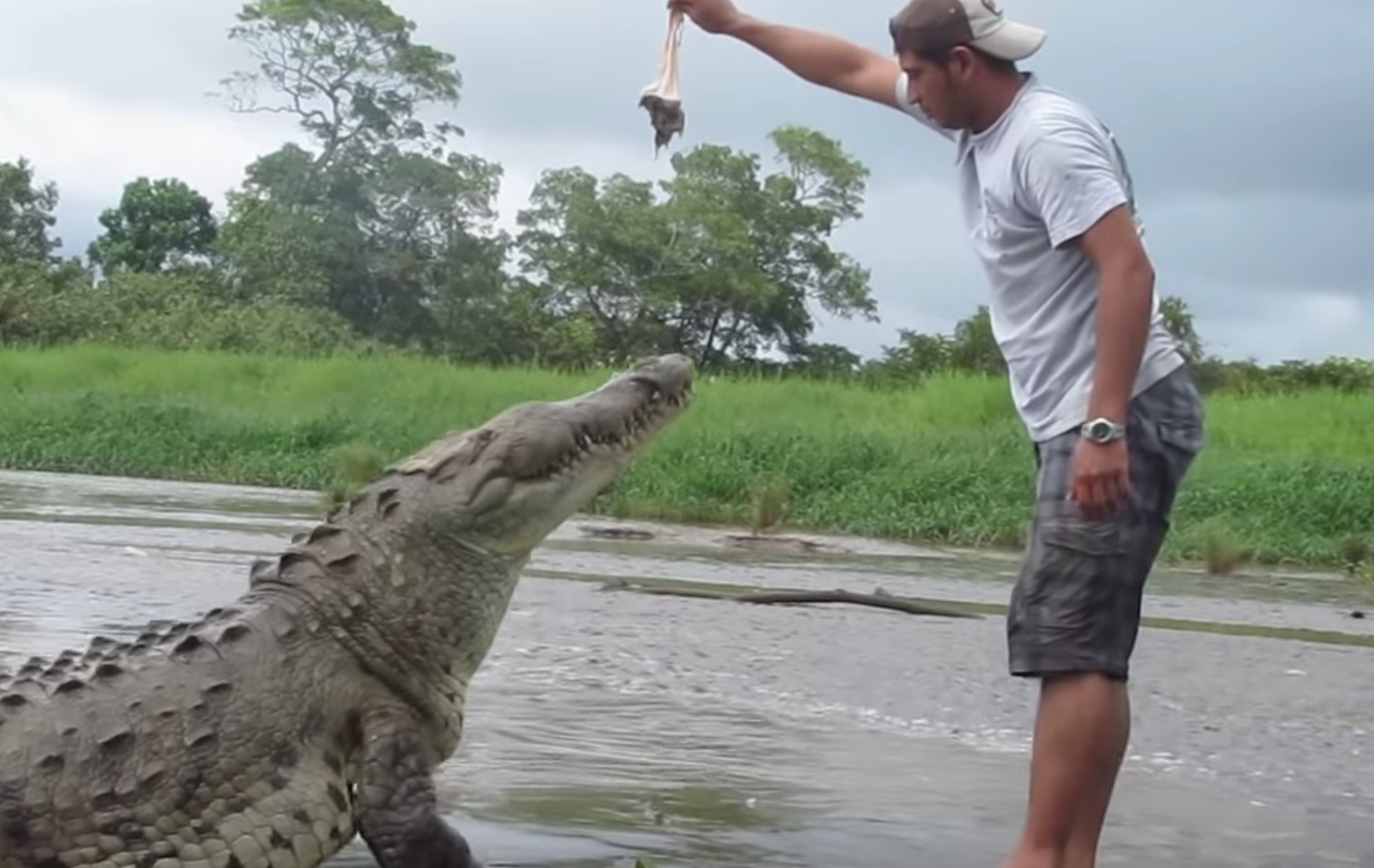 Man Teasing Crocodile Almost Gets Caught