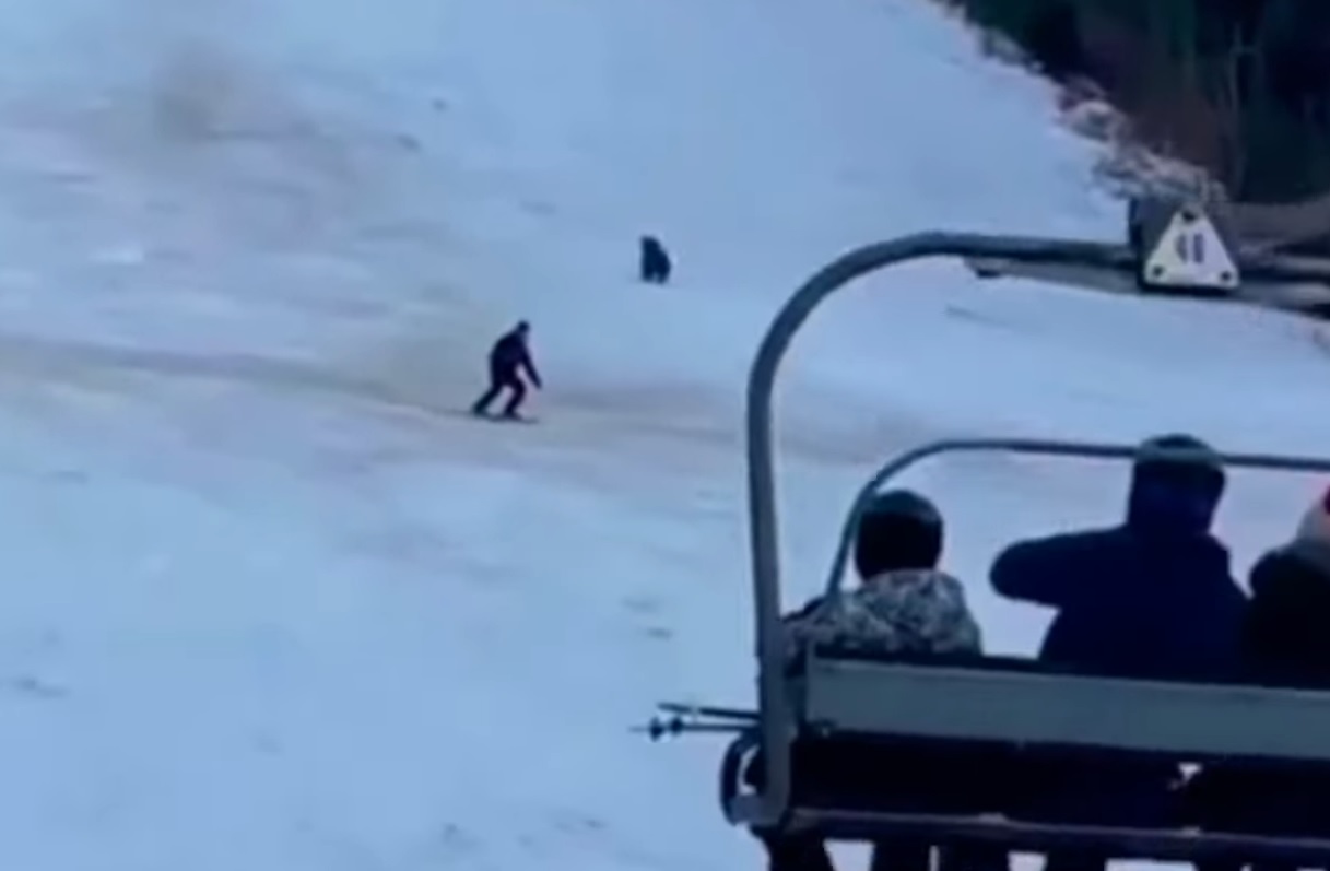 Terrifying Moment Skier Realizes Bear Is  Chasing Him