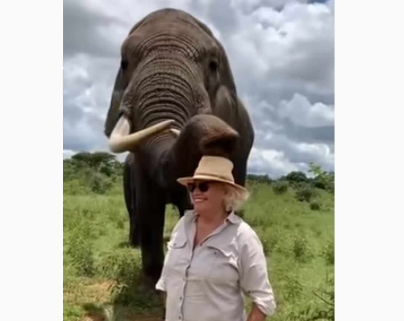 Elephant Takes Off And Hides Woman's Hat