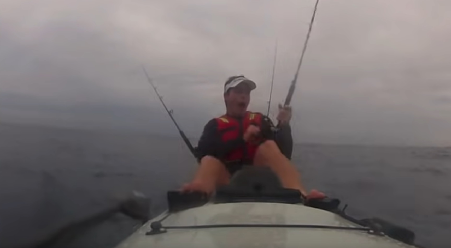 Great White Shark Knocks Kayaker Into Water
